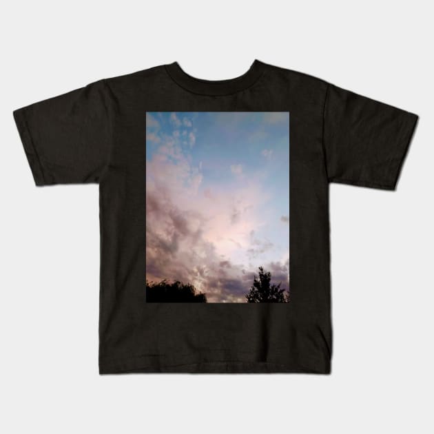 Pink Blue Grey Sky Hometown Clouds Trees And Sky Kids T-Shirt by Nevervand